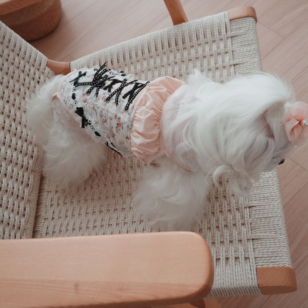 로제드메르메인 (1).jpg