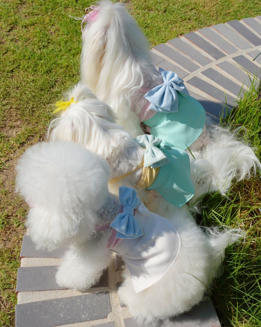 KakaoTalk_20260730_134705937_01.jpg